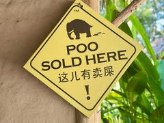 -大象粑粑造纸公园