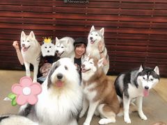 -TrueLove @ Neverland (Husky Cafe)