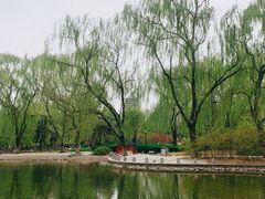 -玲珑塔公园