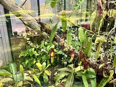 -国家植物园南园