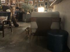 -咖法森林·咖啡  酒吧(天河店)