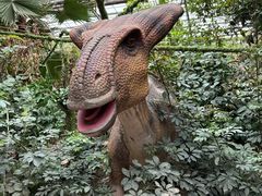 -呀路古热带植物园