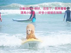 -盘古掌冲浪俱乐部(日月湾店)