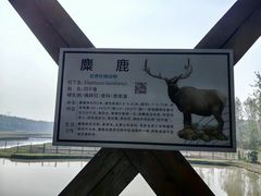 -溱湖国家湿地公园