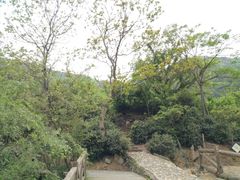 -东海大峡谷