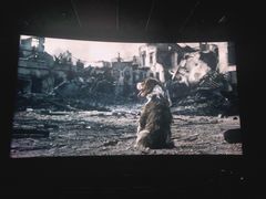 -万达影城(通州万达广场IMAX+杜比影院店)