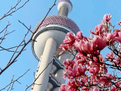 -东方明珠广播电视塔