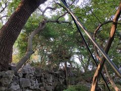 -绮园景区