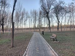 -东郊湿地公园