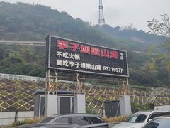 -李子坝梁山鸡(李子坝大鸡哥店)