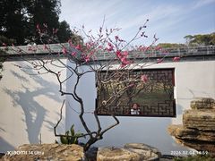 -无锡梅园公园