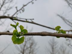 -汉长安城未央宫国家考古遗址公园