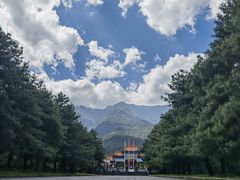 -崇圣寺三塔文化旅游区