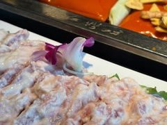 -红鼎坊·老成都火锅(新南门店)