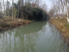 -桤木河湿地公园