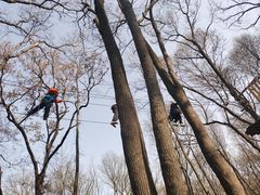 -WeLope紫金山探险公园