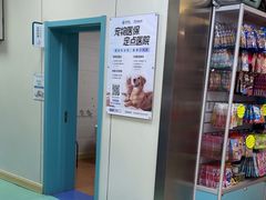 -北京观赏动物医院·24小时大型综合·猫专科·异宠专科