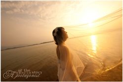 DSC_9230-维纳斯婚纱摄影(预约减现金)