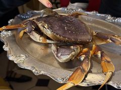 -壳里西餐厅Coquille Seafood Bistro(蒙自路店)