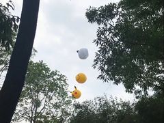 -大塘金香草谷