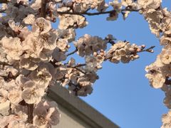 -江南大学(蠡湖校区)