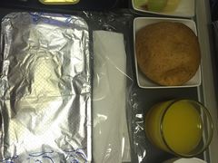 -新加坡航空公司(ION)