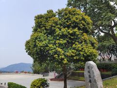 -广州市帽峰山景区