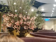 -黑松白鹿(崇文门新活馆店)