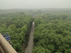 -灵谷景区