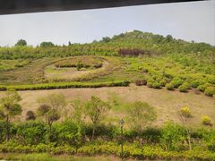 -中国石榴博物馆