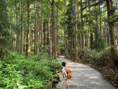 -罗田薄刀峰风景区