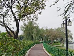 -金银湖国家城市湿地公园