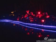 -金城公园