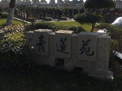 -滨海古园(新闸路店)