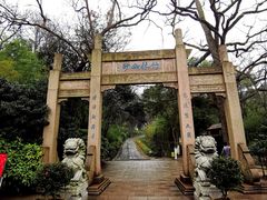 -镇江市南山风景名胜区竹林景区