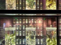-广东中医药博物馆