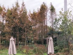 -盐官日光域房车营地·有盐餐厅