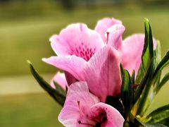 -上海植物园-4号门售票处