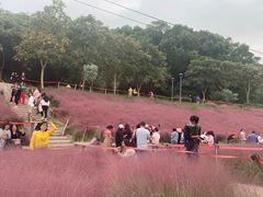 -牛岗山公园