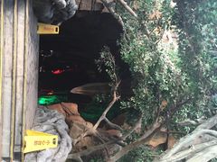 龙达温泉生态城-龙达温泉生态城