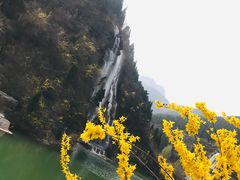 -黄花溪