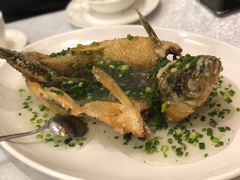 特色葱油飞鱼-岭南海晏楼(滨江东总店)