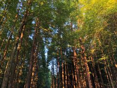 -山王坪喀斯特国家生态公园
