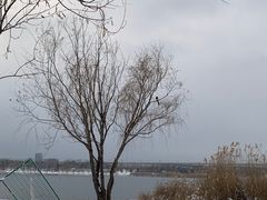 -绿堤公园