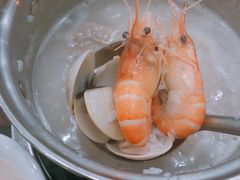 -蚝专家