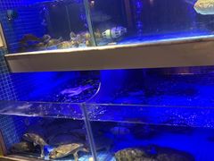 -王捌小院(红花坡店)