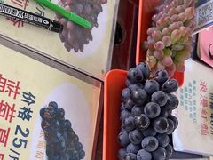 -马陆小张葡萄园农家乐