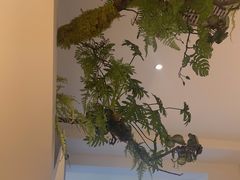 -有位虾匠·香辣蟹·小龙虾(李村店)