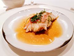 东星斑-伯衡55·吉品轩(乌鲁木齐南路店)