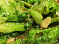 者者唐生菜-文兴酒家(晶品店)